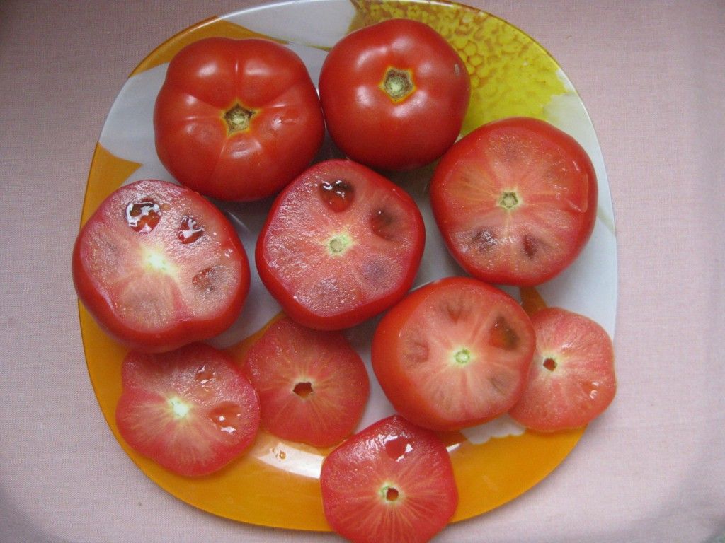 Помойте и просушите помидоры. старайтесь вырать не мягкие плоды.