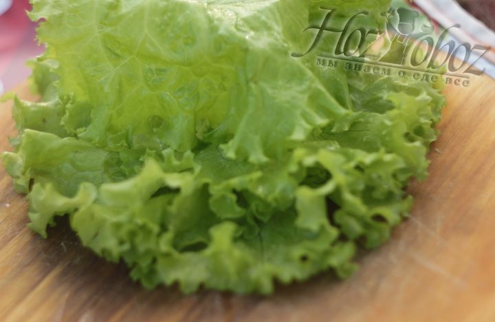Промойте и просушите листовой салат