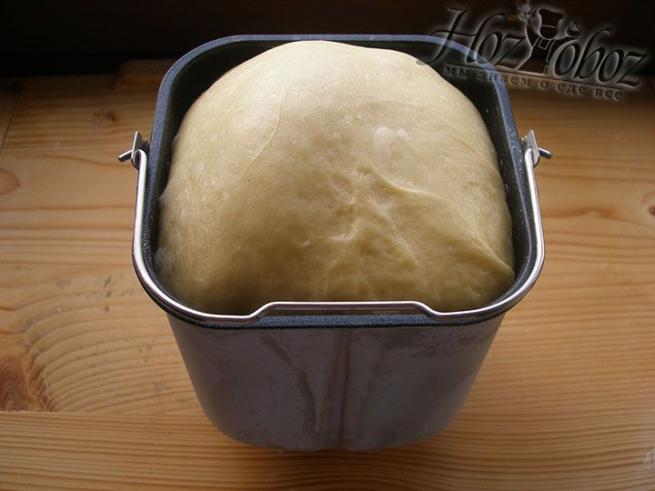 Тесто для пирожков в хлебопечке Мулинекс