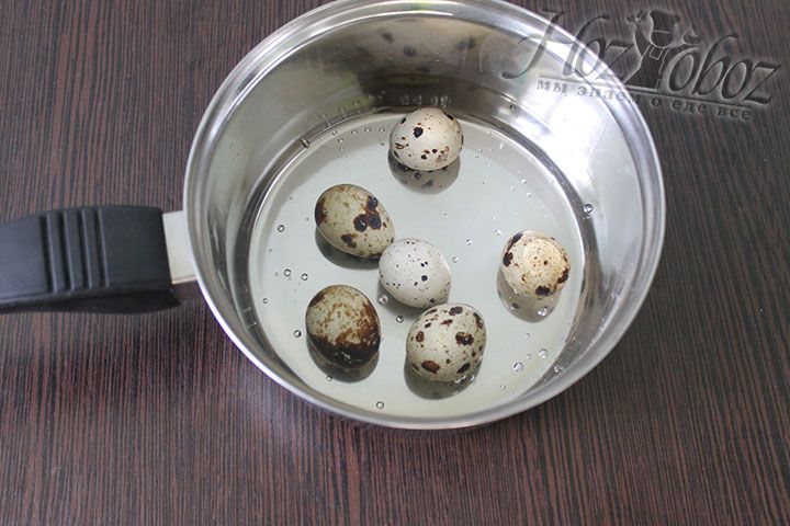 Прежде всего отварим в течение 7 минут перепелиные яйца и сразу зальем их холодной водой