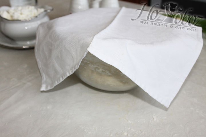 Уже готовое тесто перемещаем в миску, накрываем полотняной салфеткой и оставляем подходить минимум на 20 минут